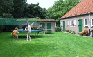 Speelplaats op Boerencamping Ruimzicht in Brouwershaven