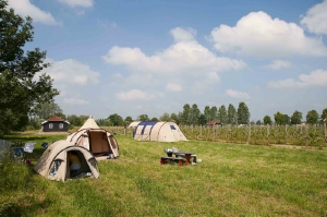 Mini camping Park Nieuw Grapendaal in Terwolde, Gelderland