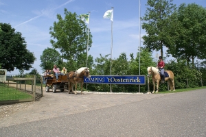 Minicamping 't Oostenriek in Megchelen, Gelderland, de Achterhoek