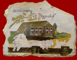 Logo de Biggenhof in Holtsloot Drenthe