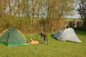 boerderijcamping Springfield op Schiermionnikoog, mini camping in Friesland