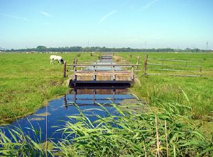boerencamping Noord-Holland