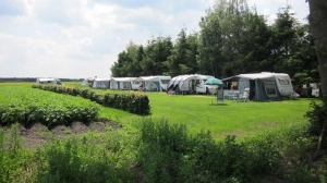 Minicamping de Hoge Bomen in Eeserveen, boerderijcamping in Drenthe